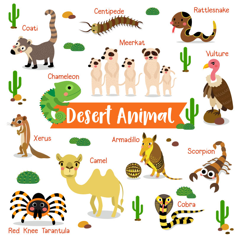 沙漠里矢量卡通动物集