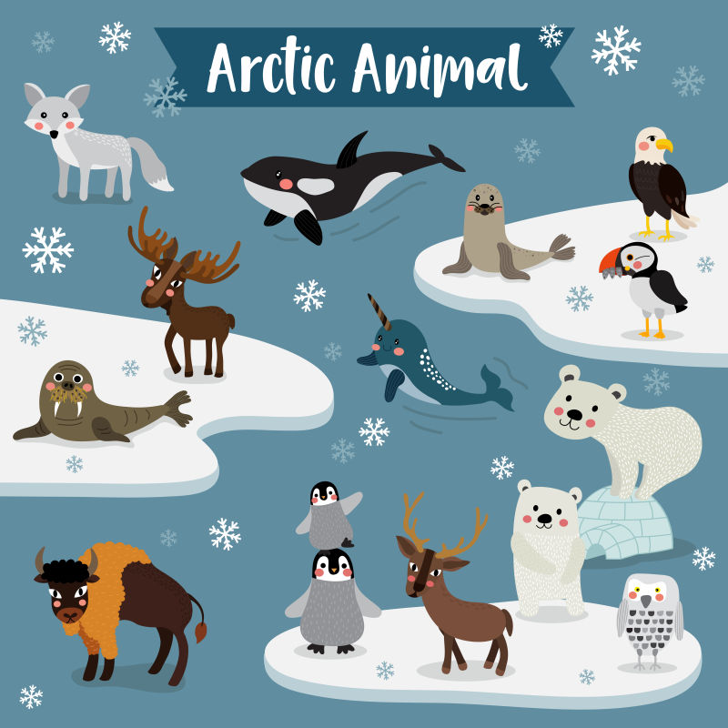 矢量卡通北极动物集