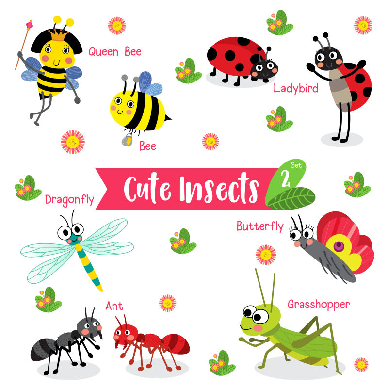 可爱的昆虫矢量卡通动物集