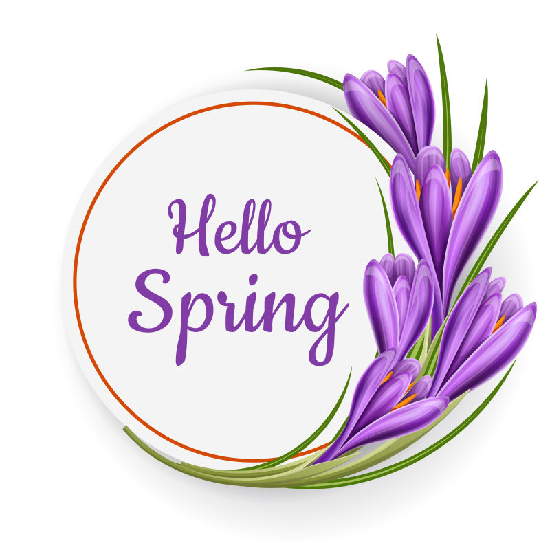 春天圆形的框架紫色花矢量插图