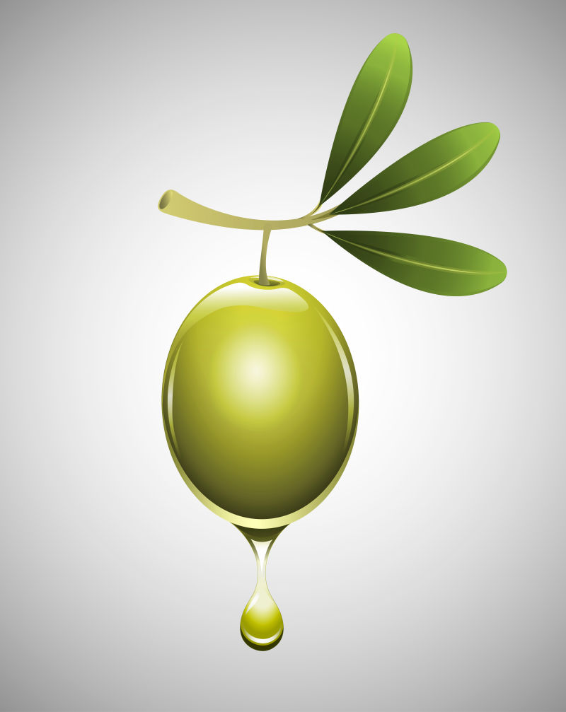 橄榄插图矢量设计