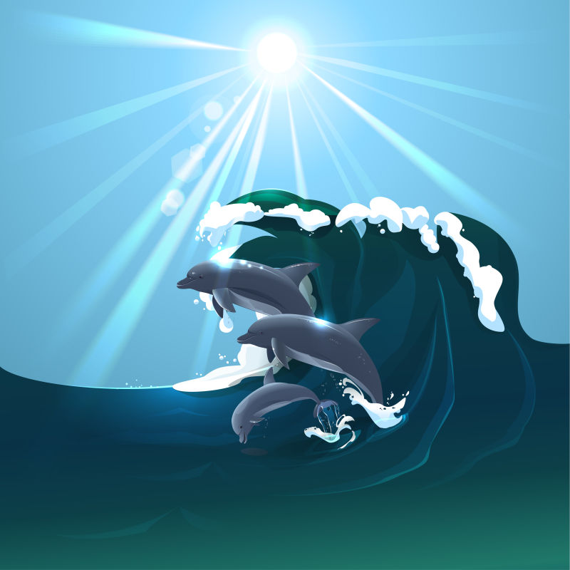 创意矢量卡通海中的海豚插图