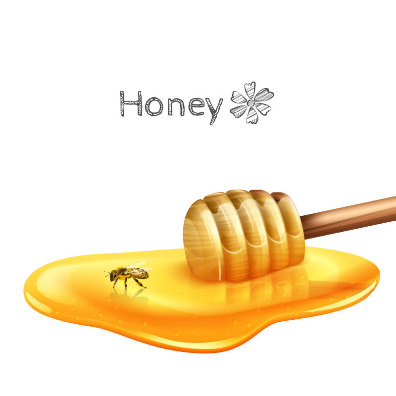 甜蜂蜜水坑与棒和蜜蜂现实矢量插图