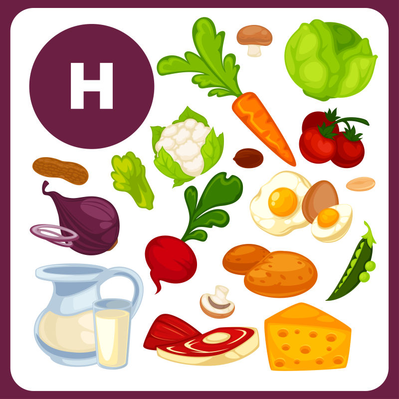 矢量食物中含有维他命H的营养成分