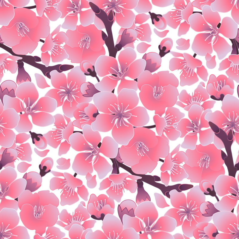 矢量美丽的樱花设计装饰背景