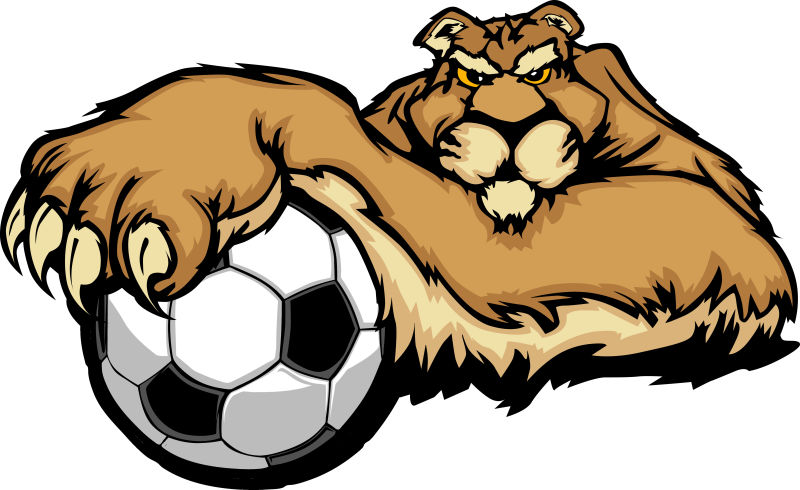 创意矢量喜爱足球的美洲豹设计插图