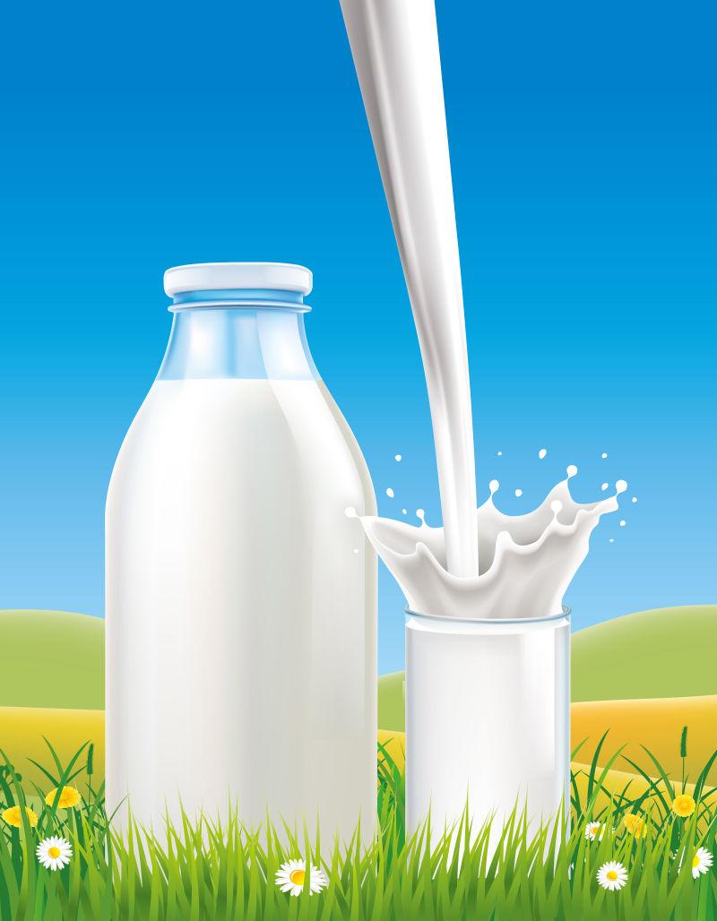 瓶装牛奶和飞溅的牛奶插图设计矢量