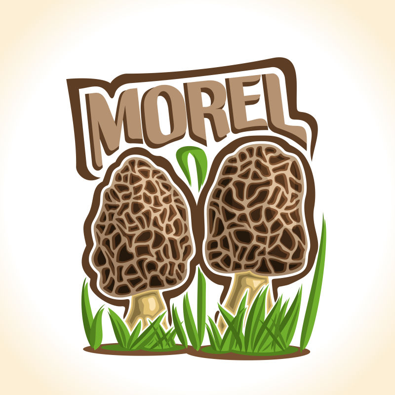 抽象矢量野生蘑菇的标志设计