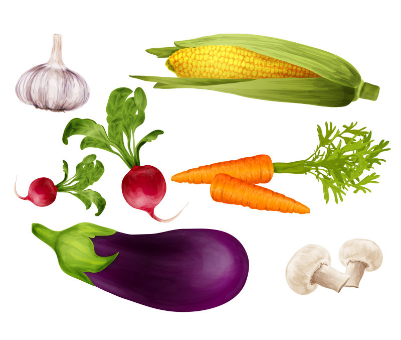 创意矢量健康蔬菜插图