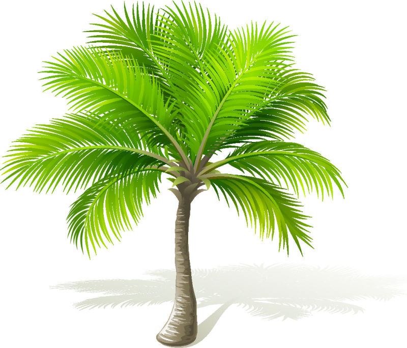 创意矢量绿色棕榈树设计