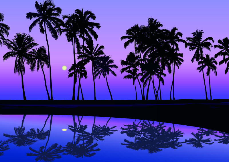 矢量夜晚的棕榈树剪影插图