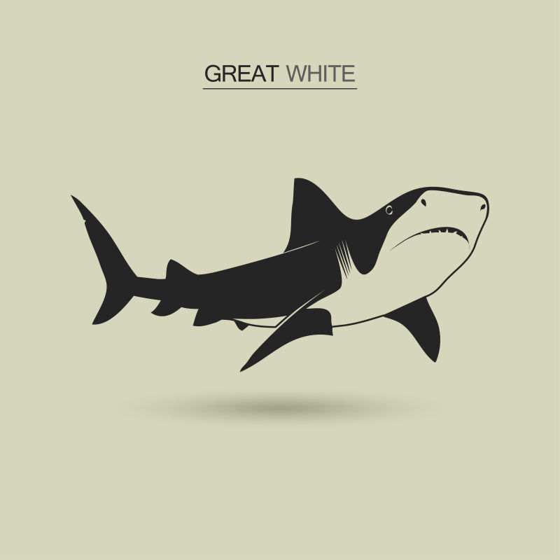 矢量的黑色大白鲨插图