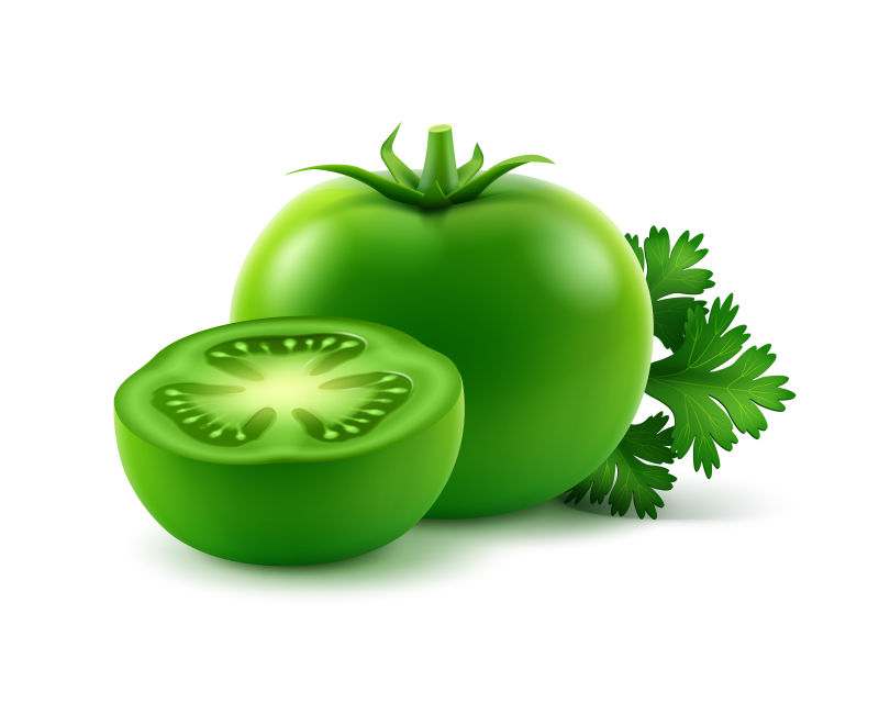 创意矢量绿色番茄的平面插图