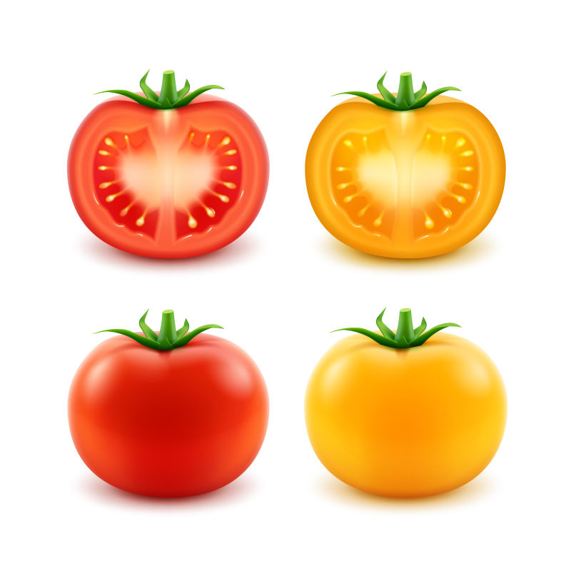 创意矢量新鲜的成熟番茄插图