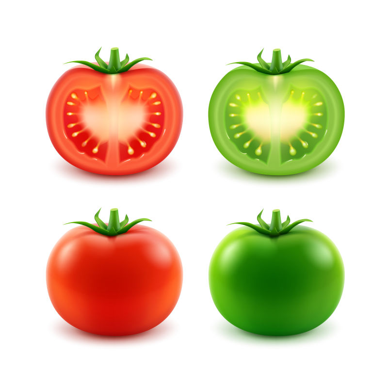 创意矢量新鲜番茄的平面插图