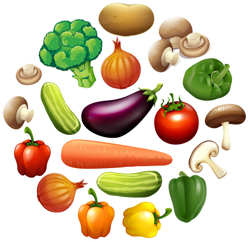 不同种类的蔬菜矢量插图