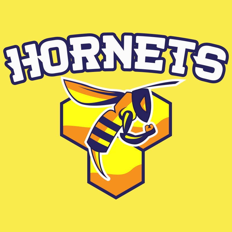 现代职业黄蜂体育队标志矢量设计