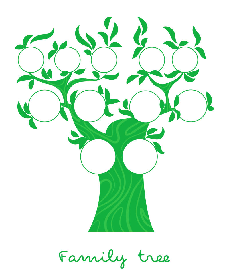 抽象矢量绿色家谱树设计插图