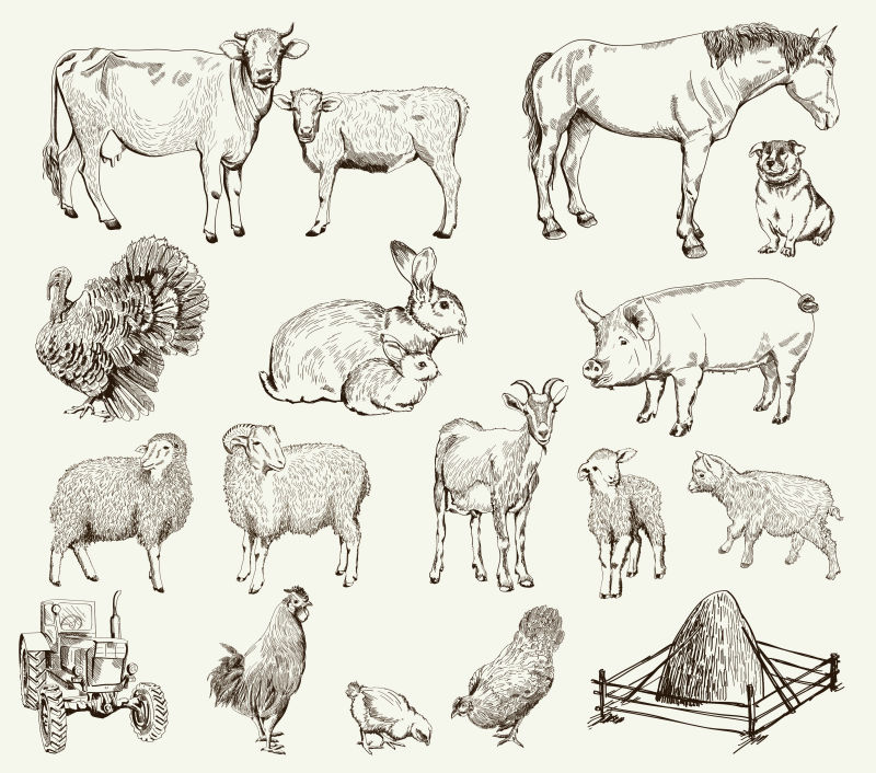 手绘农场动物矢量插图