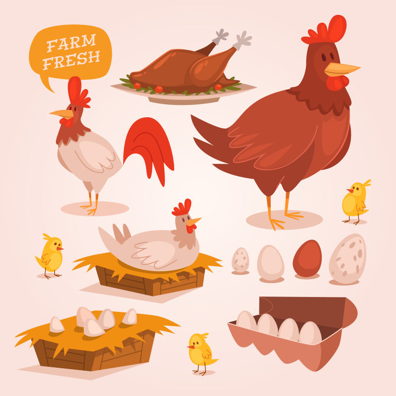 抽象矢量现代新鲜农场公鸡元素插图