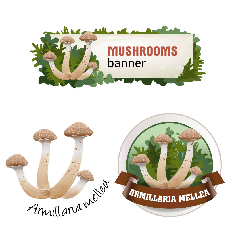 蘑菇矢量横幅徽章贴纸蘑菇图标