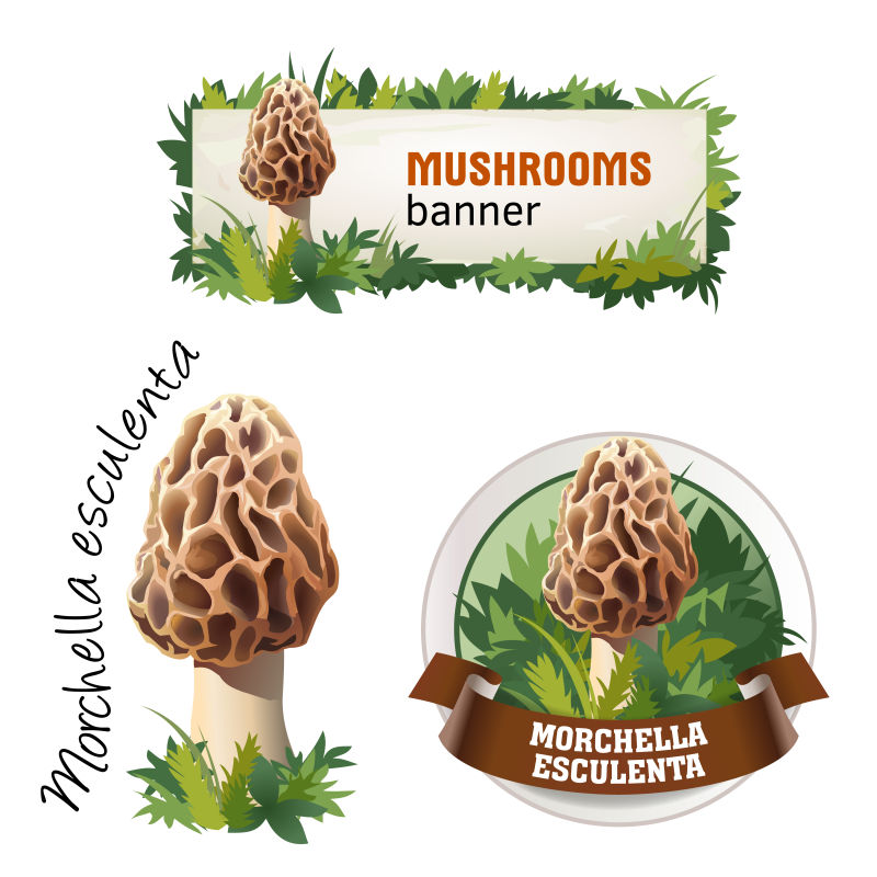 蘑菇矢量横幅徽章贴纸蘑菇蘑菇图标