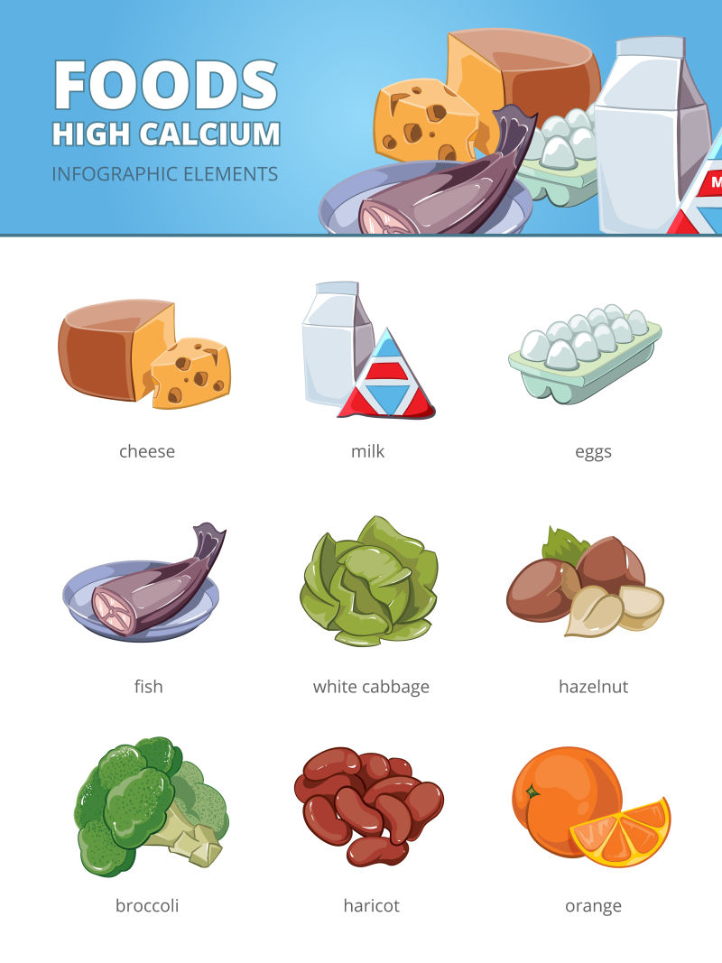 高钙和维他命食品矢量信息图