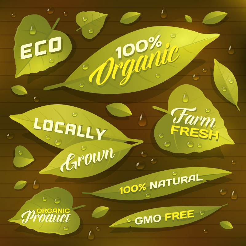 一套新鲜绿叶作为标签-徽章为天然-有机-当地种植的产品-有机产品包装-矢量图