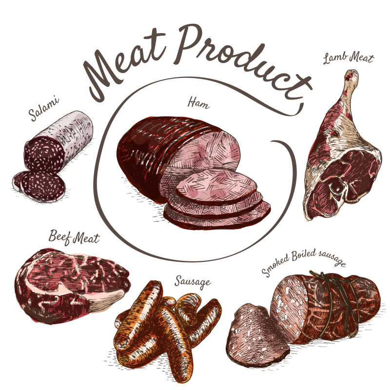 创意矢量现代手绘肉制品插图设计