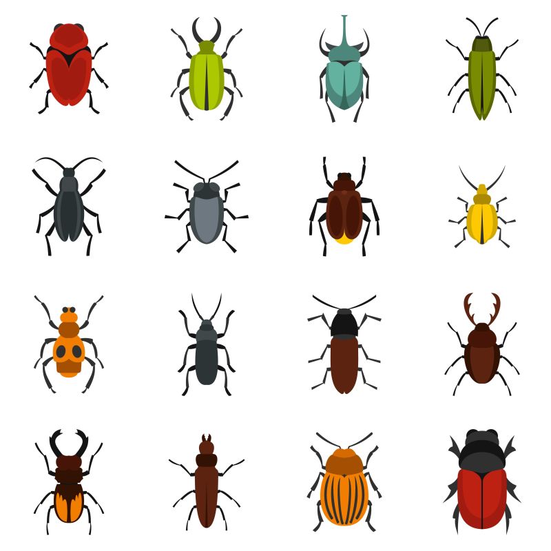 创意矢量昆虫图标设计