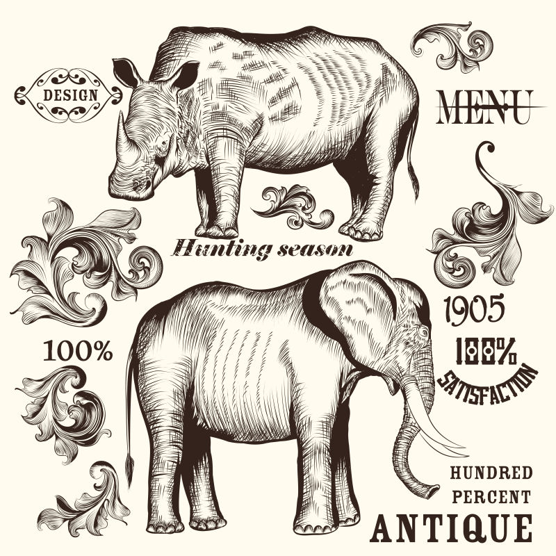 矢量手绘的动物与装饰元素