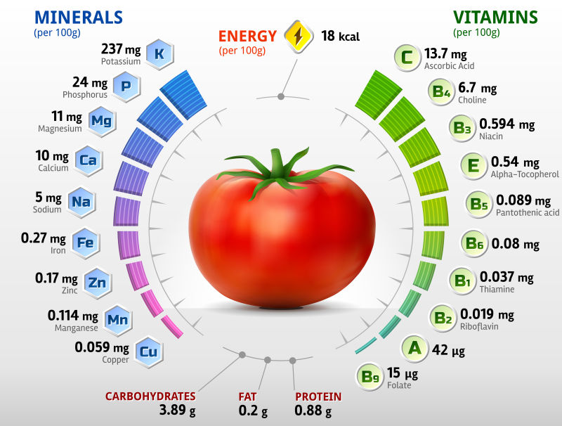 创意矢量番茄元素的信息图表设计