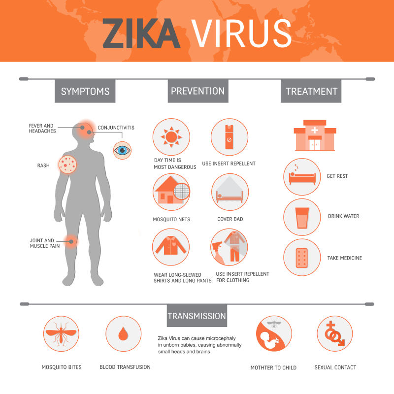 矢量齐卡病毒元素的信息图表设计