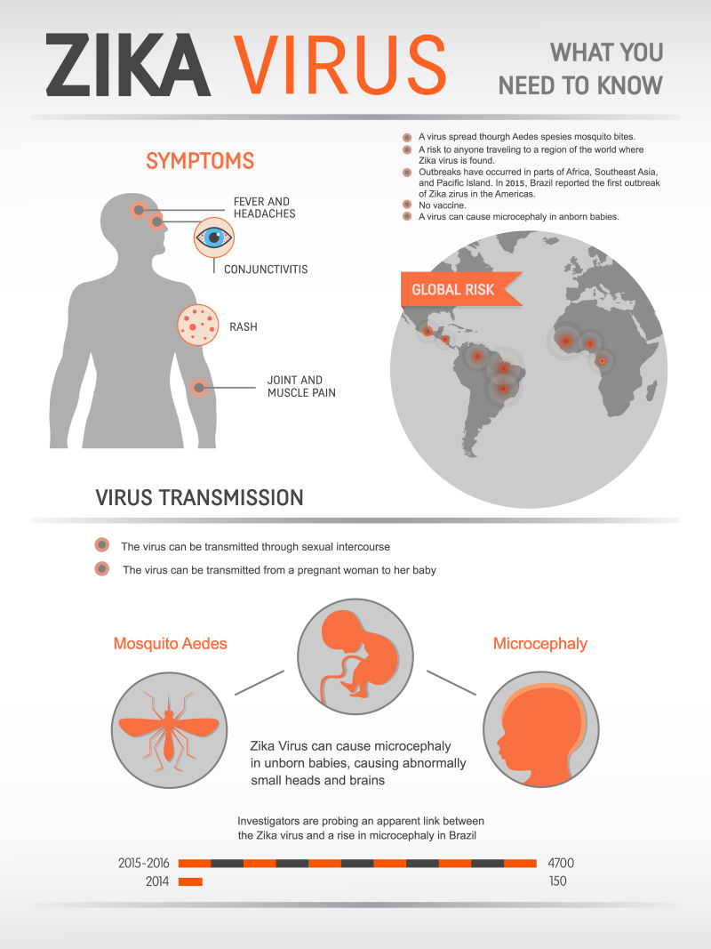 矢量齐卡病毒的信息图表设计