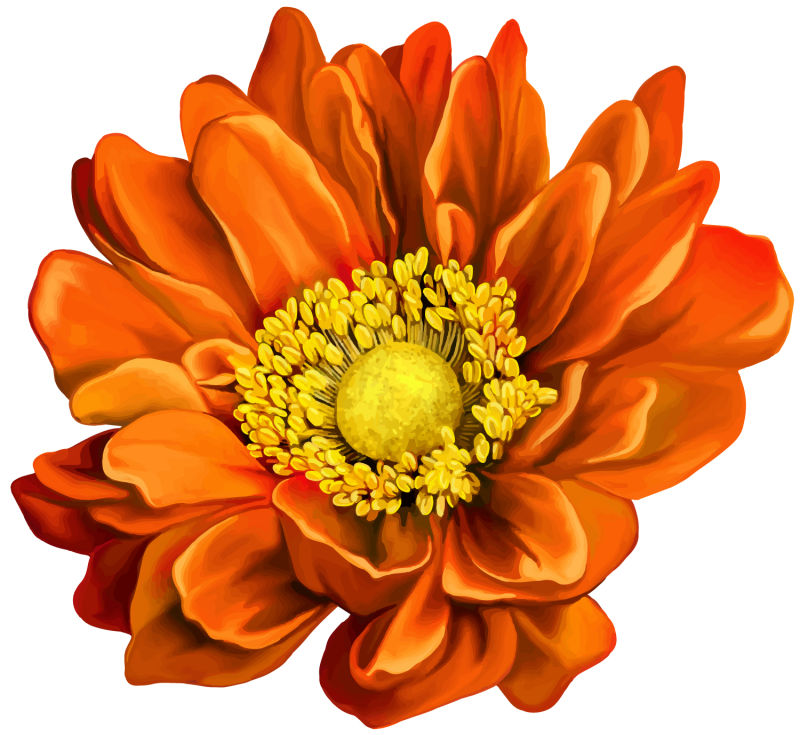 创意矢量橙色菊花设计插图