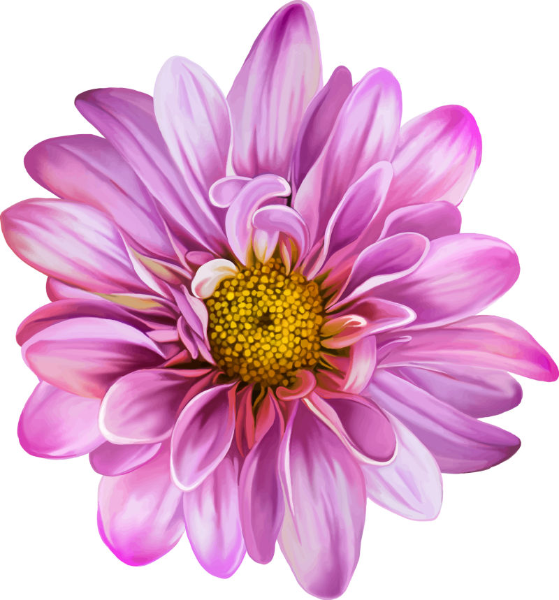 创意矢量美丽的粉色花卉设计插图