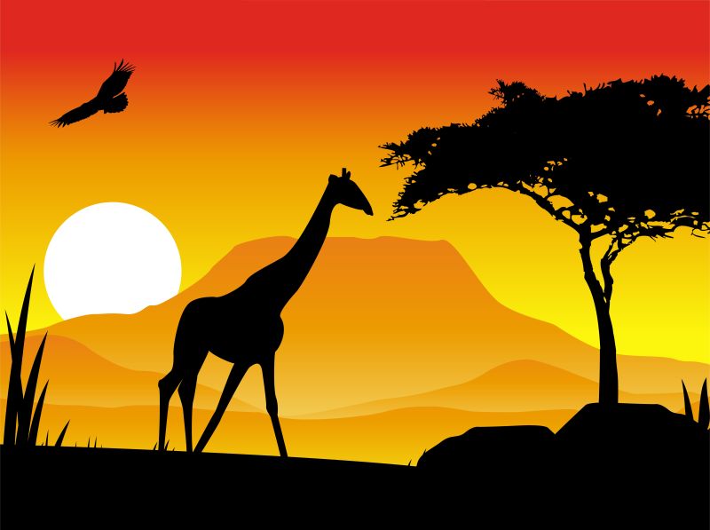 创意矢量日落非洲上的长颈鹿剪影插图