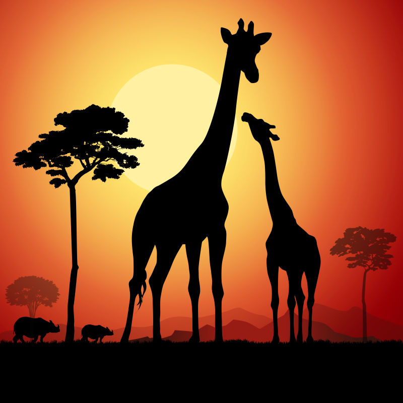 矢量夕阳下的长颈鹿剪影插图