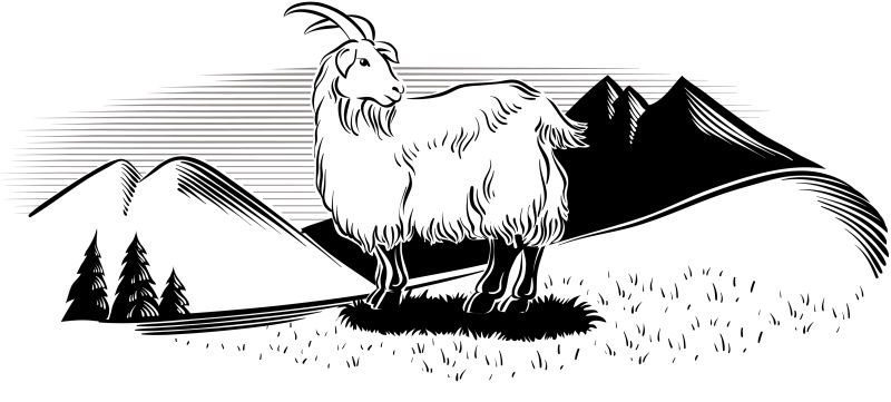 创意矢量农场中的山羊插图