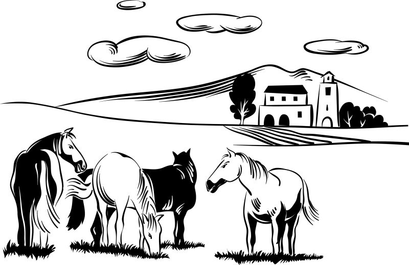 创意矢量卡通安静吃草的马插图