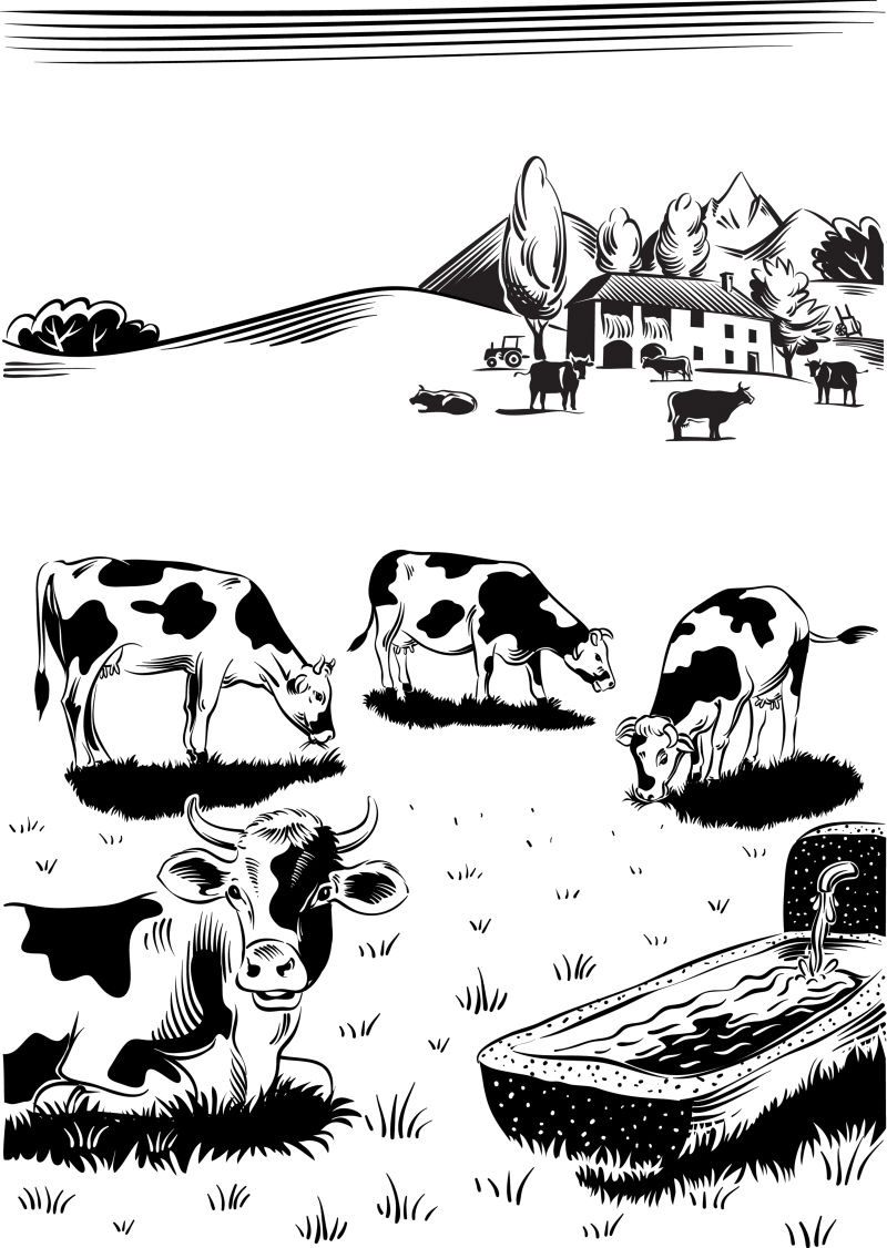 创意矢量农场中的奶牛插图设计