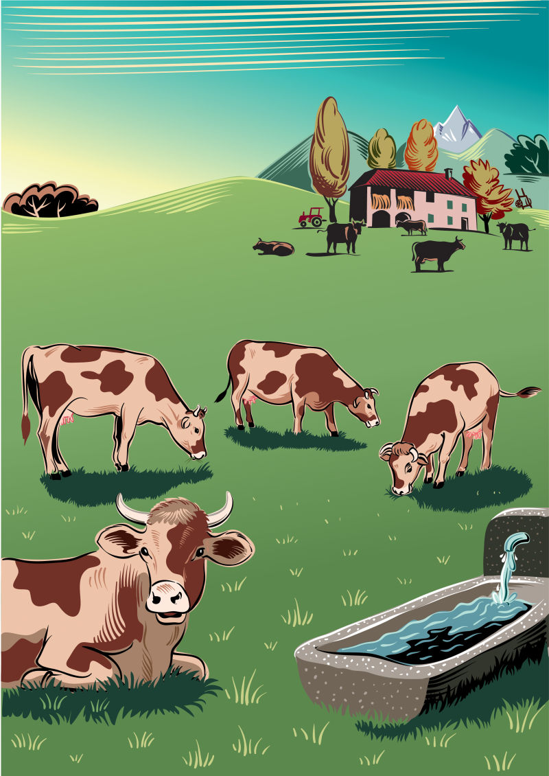 创意矢量农场中的奶牛插图