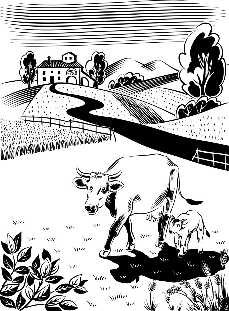 创意矢量卡通草甸上的牛插图