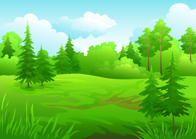绿色的森林矢量插图