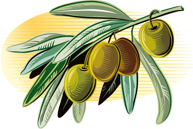 创意矢量现代橄榄油的平面插图