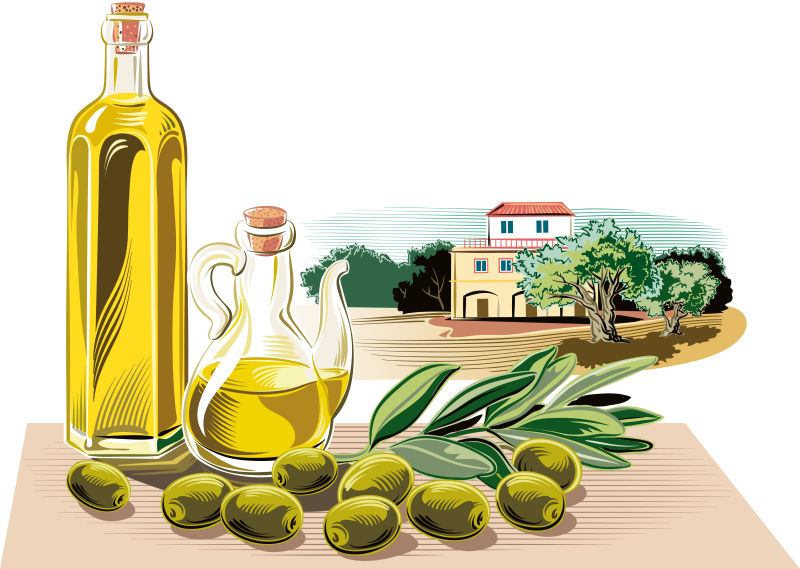 创意矢量现代商业橄榄油的插图设计