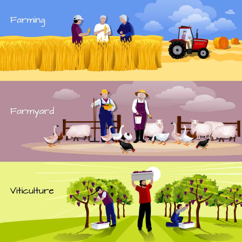 创意矢量平面风格的农场概念插图