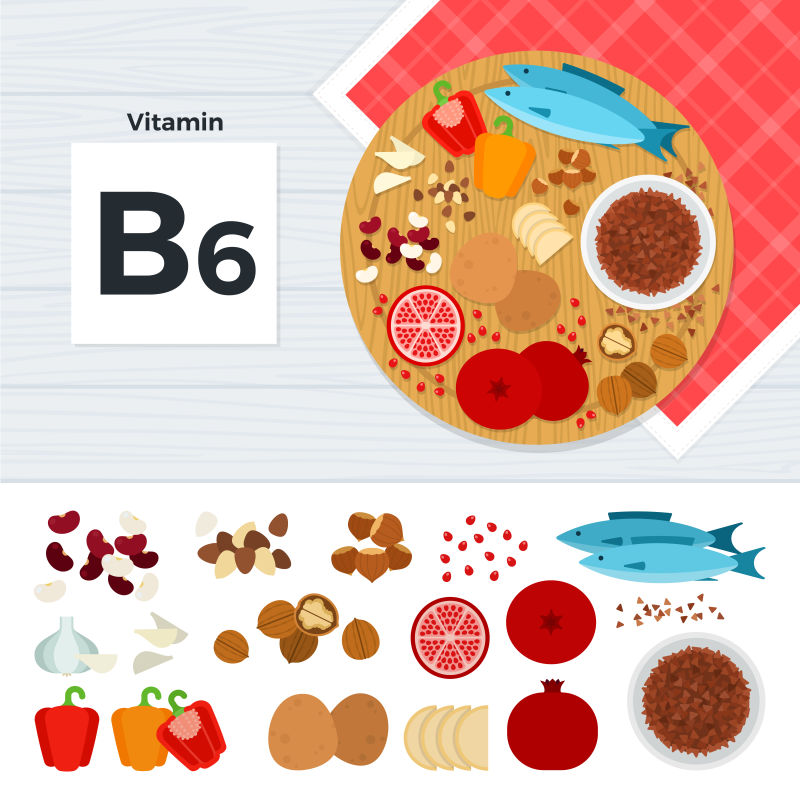 创意矢量维生素b的食物插图