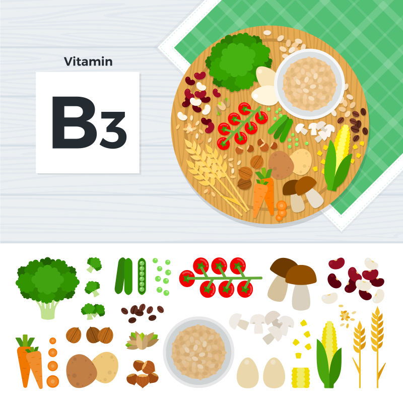 抽象矢量维生素b的补充食物插图