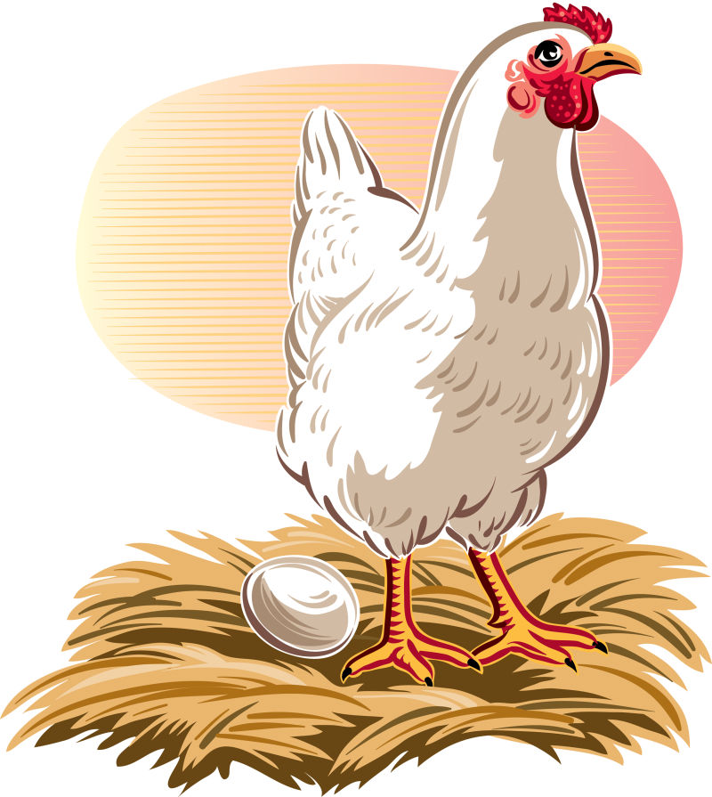 创意矢量生蛋的公鸡平面插图